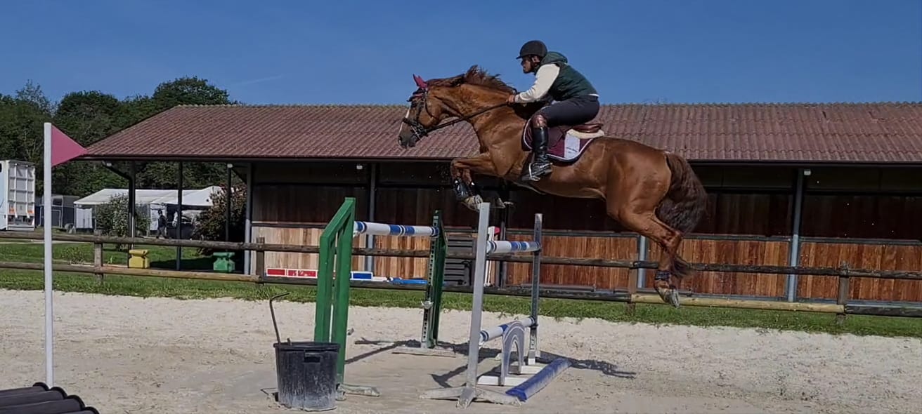 El Cid et Romain Boulanger, entraînement sur un oxer à 145cm El Cid et Romain Boulanger, entraînement sur un oxer à 145cm