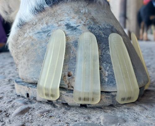 SAFE Collage - Taille 100